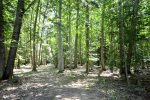 Private Wooded Lot 